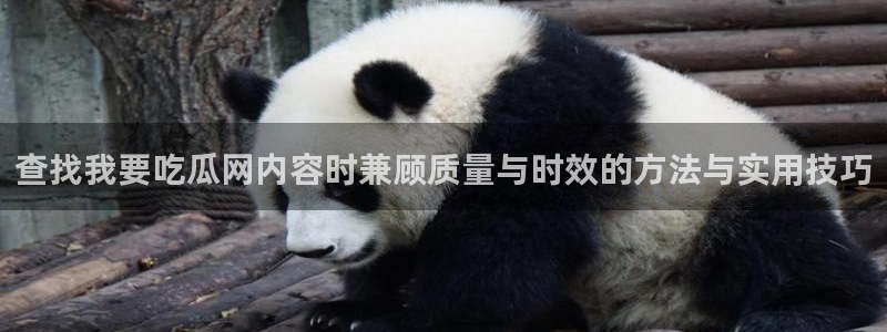 91吃瓜每日资讯:查找我要吃瓜网内容时兼顾质量与时效的方法与实用技巧