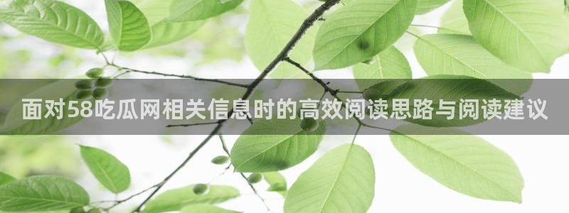 91吃瓜最新新闻:面对58吃瓜网相关信息时的高效阅读思路与阅读建议