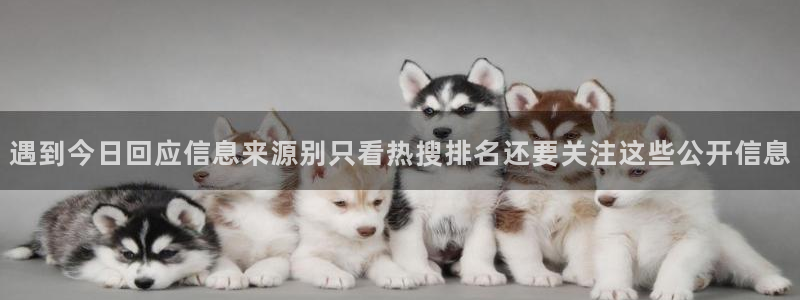 91吃瓜热点事件:遇到今日回应信息来源别只看热搜排名还要关注这些公开信息