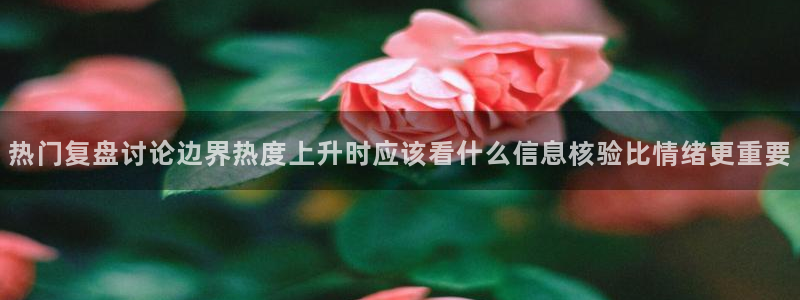 91吃瓜热门搜索:热门复盘讨论边界热度上升时应该看什么信息核验比情绪更重要