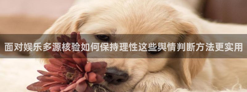 91吃瓜最新网站入口:面对娱乐多源核验如何保持理性这些舆情判断方法更实用