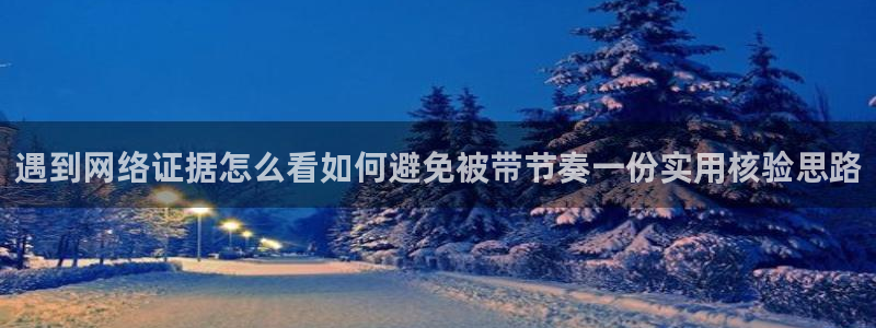 吃瓜网站大全:遇到网络证据怎么看如何避免被带节奏一份实用核验思路