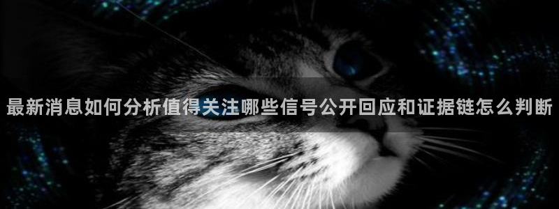 91吃瓜:最新消息如何分析值得关注哪些信号公开回应和证据链怎么判断